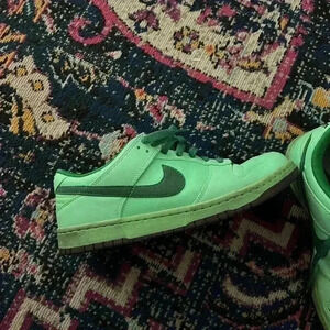 Nike Dunk Premium Basic Low Olympic Tourmaline W Green Zoom 2008 Size 9